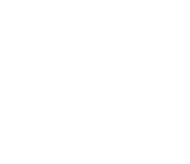 astrowildstar-white-logo